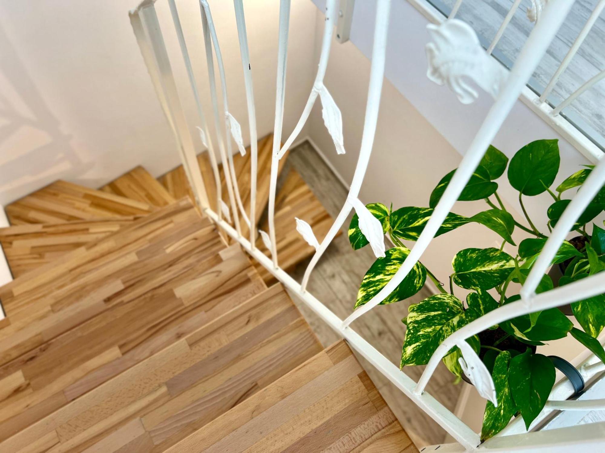 בראשוב Blue Boho Boutique Villa מראה חיצוני תמונה